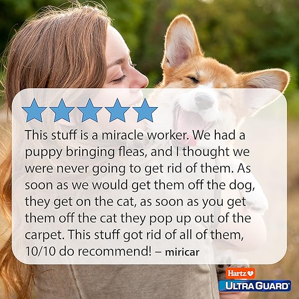 HARTZ ULTRAGUARD PLUS FLEA & TICK HOME SPRAY, KILLS FLEAS AND TICKS, CLEAN FRESH SCENT, 16 OUNCE