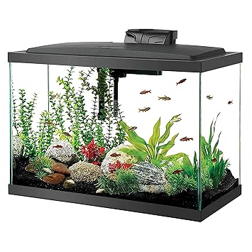 Aqueon Aquarium Fish Tank Starter Kit With Led Lighting 20 Gallon Amazon In Pet Supplies