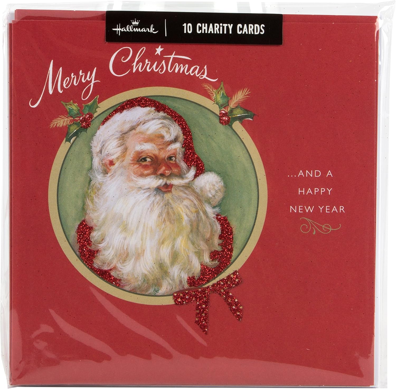 Hallmark Christmas Charity Multipack Cards 'Santa Claus' Pack of 10
