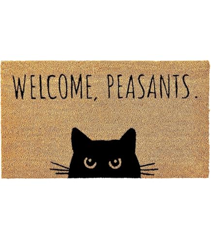 Amazon.com: UINI Door Mat Outdoor Indoor Welcome Mats, Cute Cat