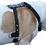 Black Genuine Leather Dog Harness, Large to XLarge. 35-39 Chest, 1.5