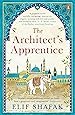 The Architect's Apprentice