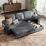 LINSY HOME Sectional Sleeper Sofa with Pull Out