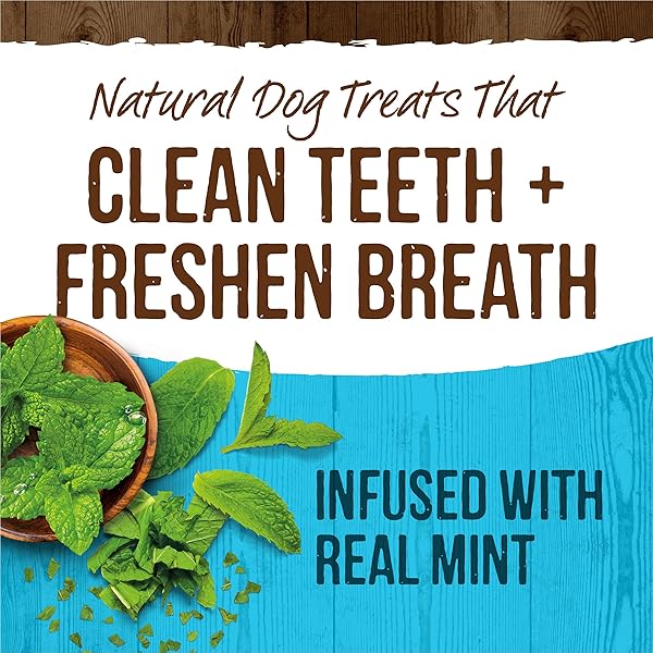 MERRICK FRESH KISSES NATURAL DENTAL CHEWS TOOTHBRUSH TREAT SHAPE INFUSED WITH REAL MINT FOR TINY DOGS 5-15 LBS – 106 CT. BOX
