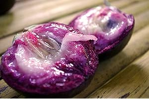 Arvice Seeds * Chrysophyllum Cainito * Caimito * Purple Star Apple * 3 Rare Fresh Seeds * Limited