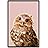 SIGNWIN Framed Canvas Wall Art Cute Nursery Baby Owl in Pink Color Animals Wildlife Oil Painting Modern Art Contemporary Portrait Fun Pastel for Living Room, Bedroom, Office - 16"x24" inches