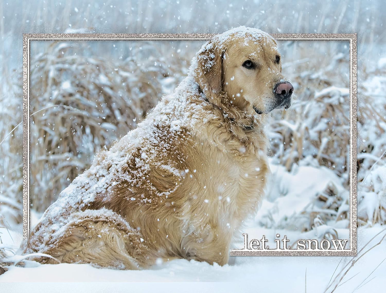 "Let it Snow!" Golden Retriever Boxed Christmas Cards