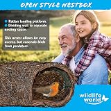 Simon King Wildlife World Brushwood Nester Bird Habitat Brown view 4