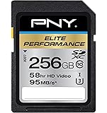 PNY Elite Performance 256 GB High Speed SDXC Class 10 UHS-I, U3 up to 95 MB/Sec Flash Card (P-SDX256U395-GE)