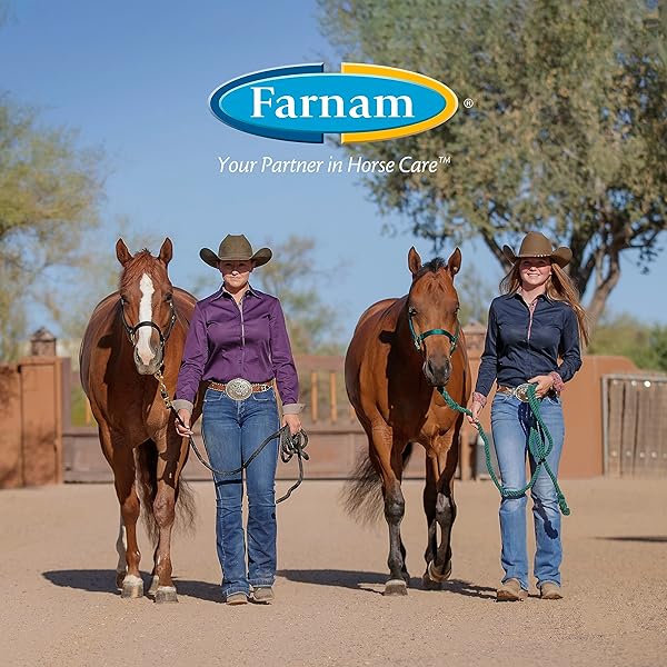 FARNAM APPLE ELITE ELECTROLYTE PASTE SUPPLEMENT FOR HORSES, REPLACES VITAL MINERALS, ENCOURAGES HYDRATION, NO ADDED SUGAR, 60 CC SYRINGE