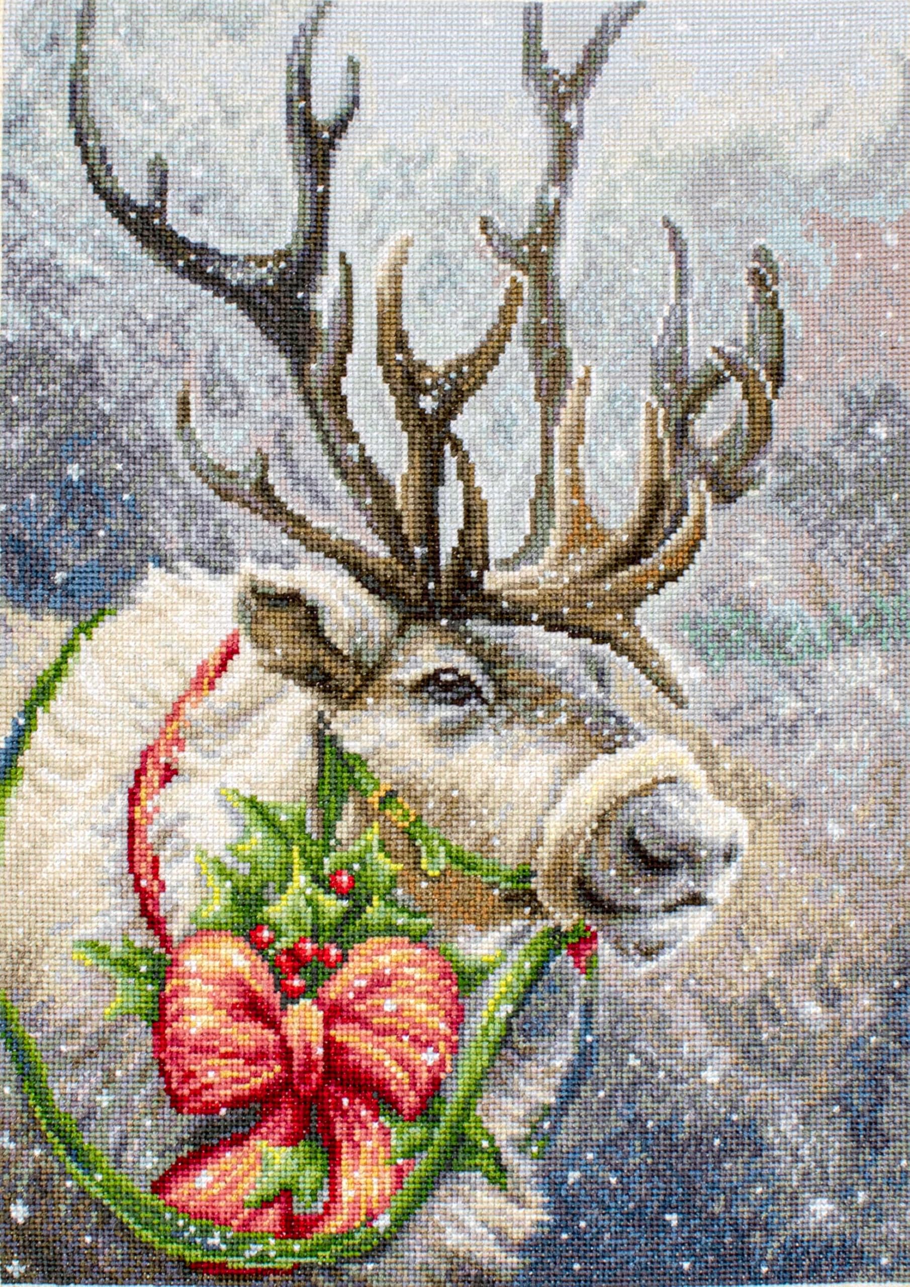 Lucas Cross Stitch Set, Cotton, Multicoloured, 19x19cm