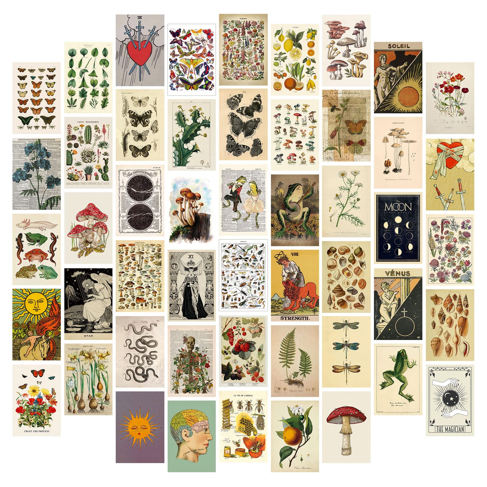50Pcs 4x6 Inch Posters Vintage Decor Wall Collage Kit Pictures, Botanical Wall Art Posters for Room Aesthetic Decor for Bedroom Cottagecore Decor