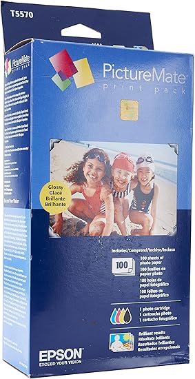 epson picturemate 100 ink cartridges