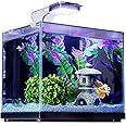 imagitarium Glass Versa Aquarium, 3.7 Gallons