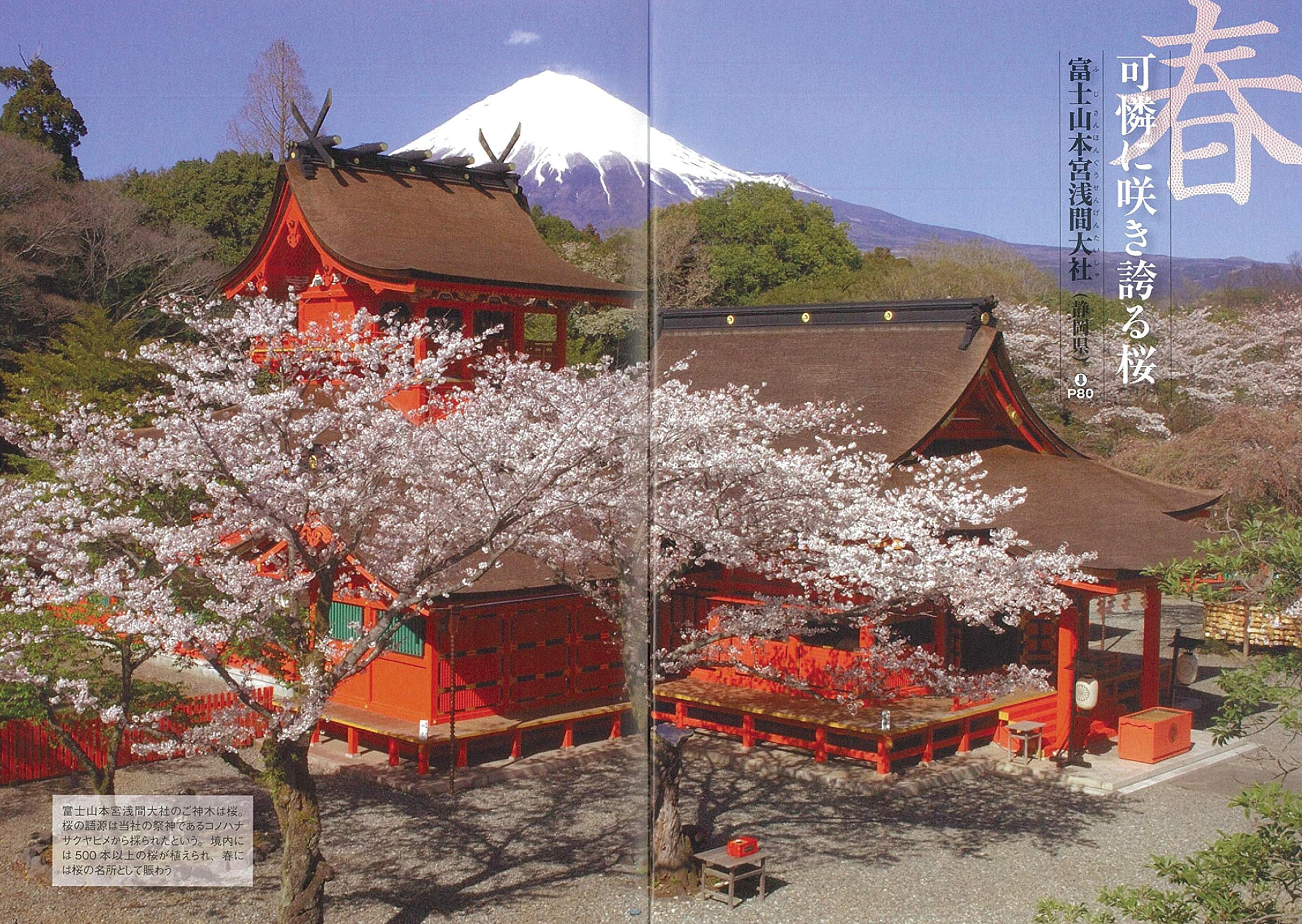 日本の信仰がわかる神社と神々 ビジュアル版鑑賞ガイド かみゆ歴史編集部 編者 最適な価格 かみゆ歴史編集部