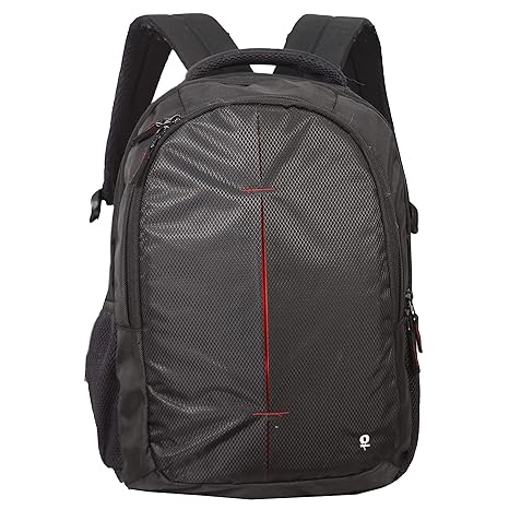 milestone bags big bazaar