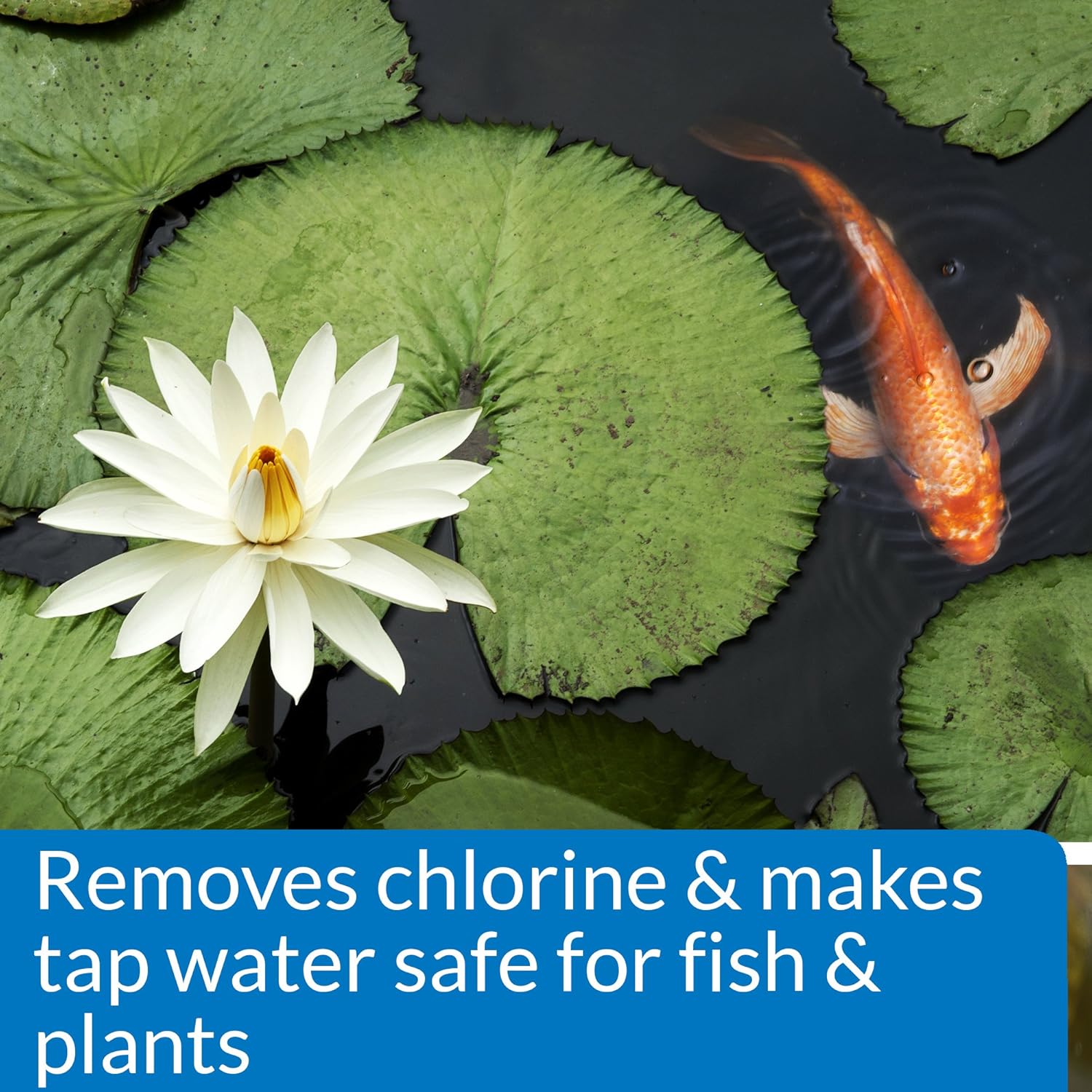 API POND CHLORINE & HEAVY METAL NEUTRALIZER Pond Water Neutralizer 16-Ounce Bottle, White (141B): Furniture & Decor