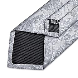DiBanGu Silk Paisley Ties for Men Woven Necktie and
