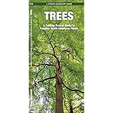 Trees (Nature Observation North America)