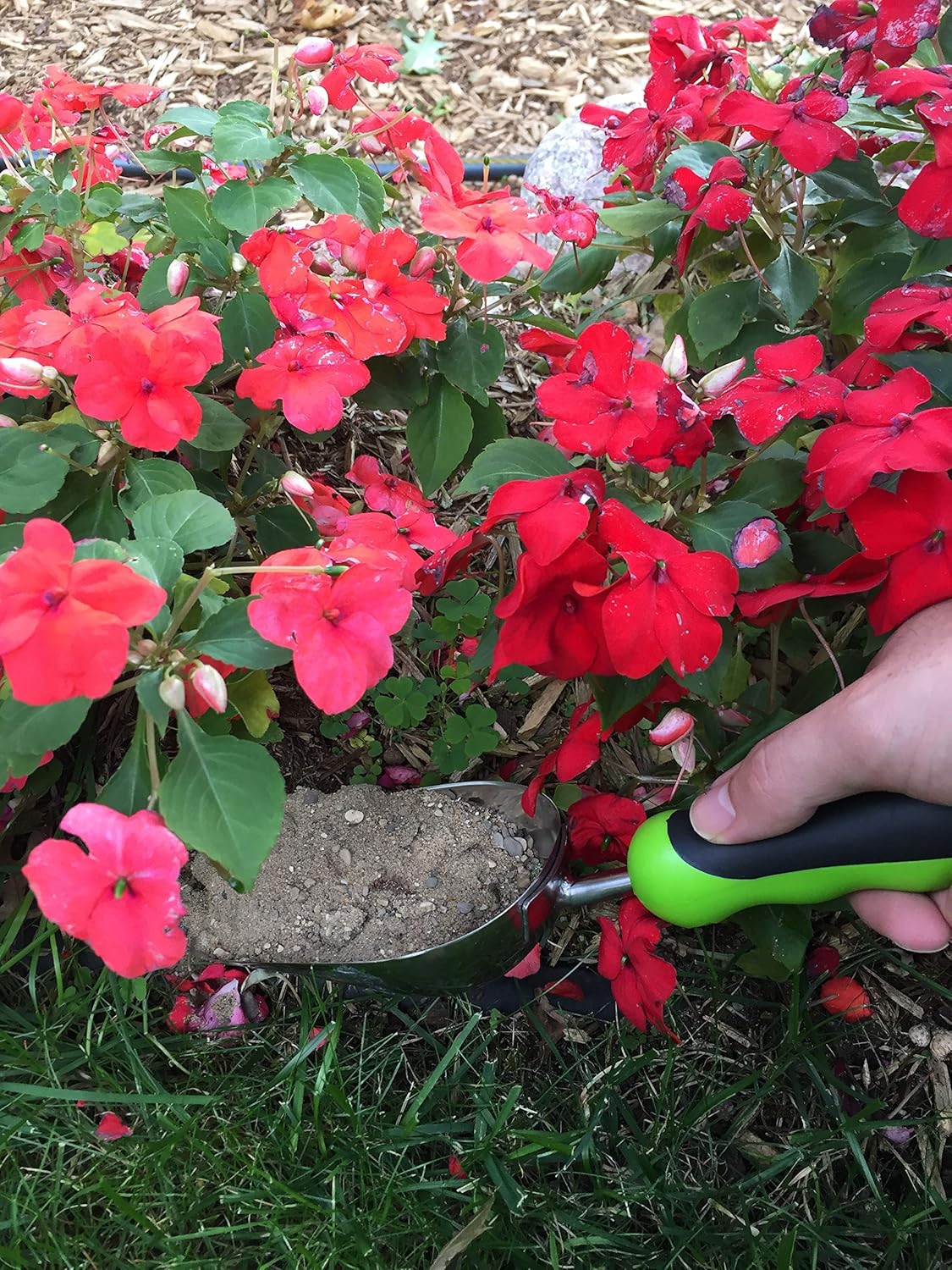 Garden Guru Super Strong Garden Scoop Trowel Shovel Transplanter - Stainless Steel - Rust Resistant - Ergonomic Grip - Perfect Hand Shovel for Gardening Transplanting and Digging : Garden & Outdoor