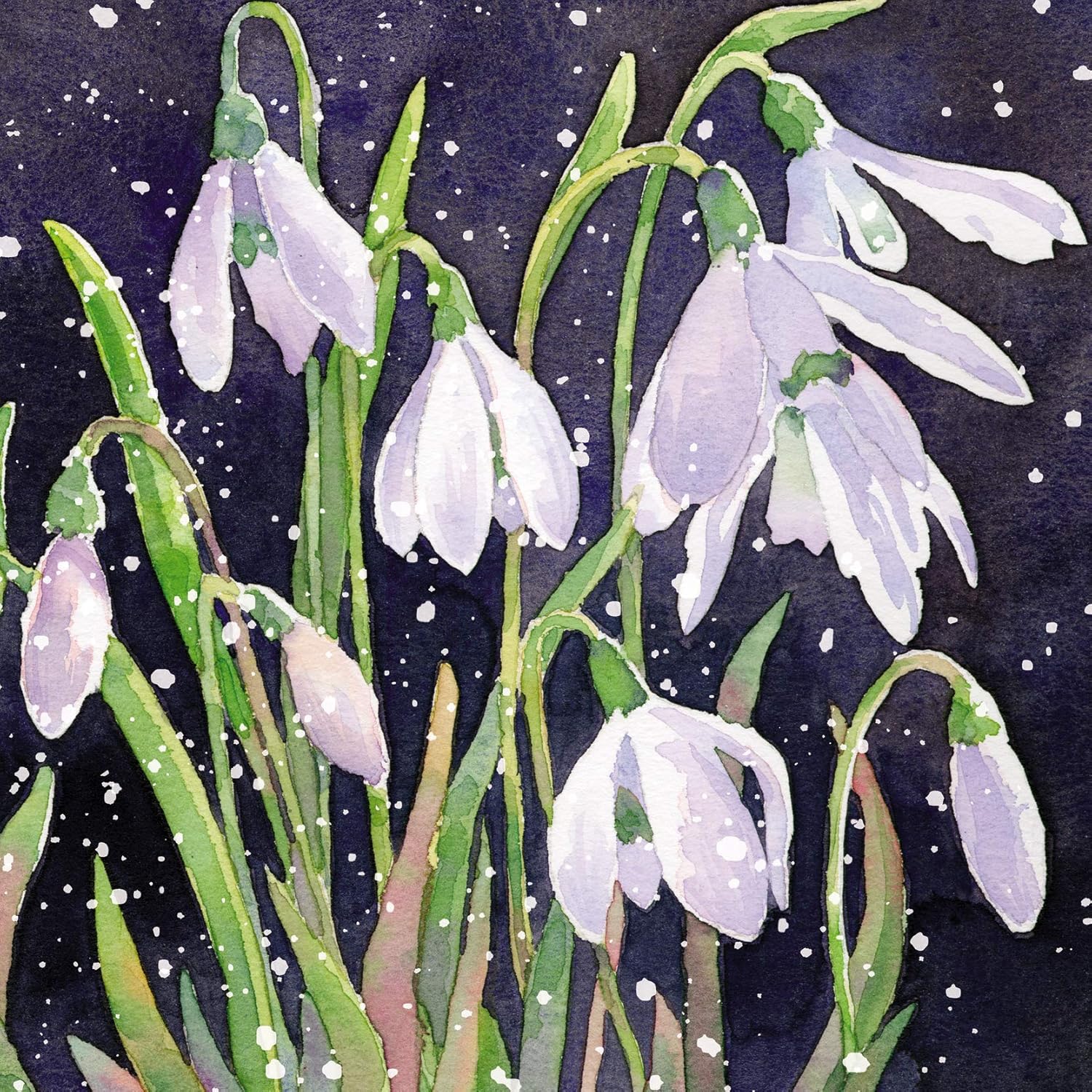 Pack of 6 Charity Christmas Cards (MEDCHMT0043) Snowdrops 6