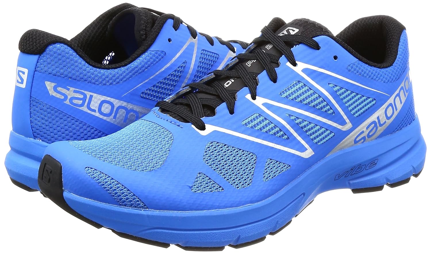 salomon sonic 3d flex