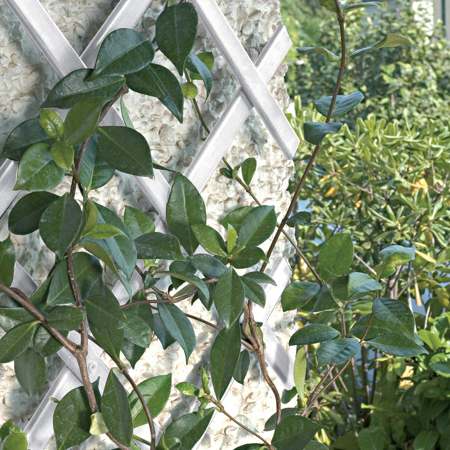 Trepls Extendable PVC Trellis 1,00x2 m Bianco - Image 3