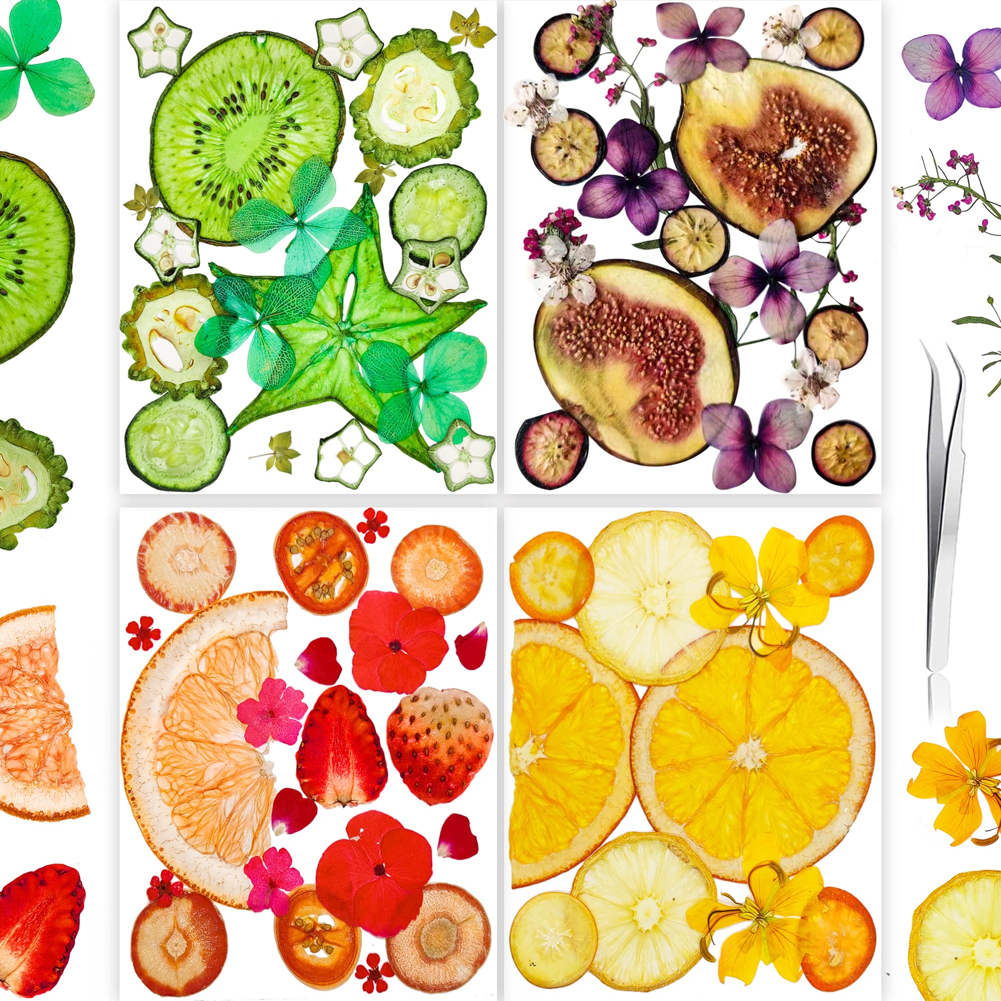 YoothBro Real Nature Dried Pressed Flowers for Resin Mold, Dry Pressing Floral Set for DIY Jewelry Making Nail Card Scrapbook Art Craft Decors Bright Fruit