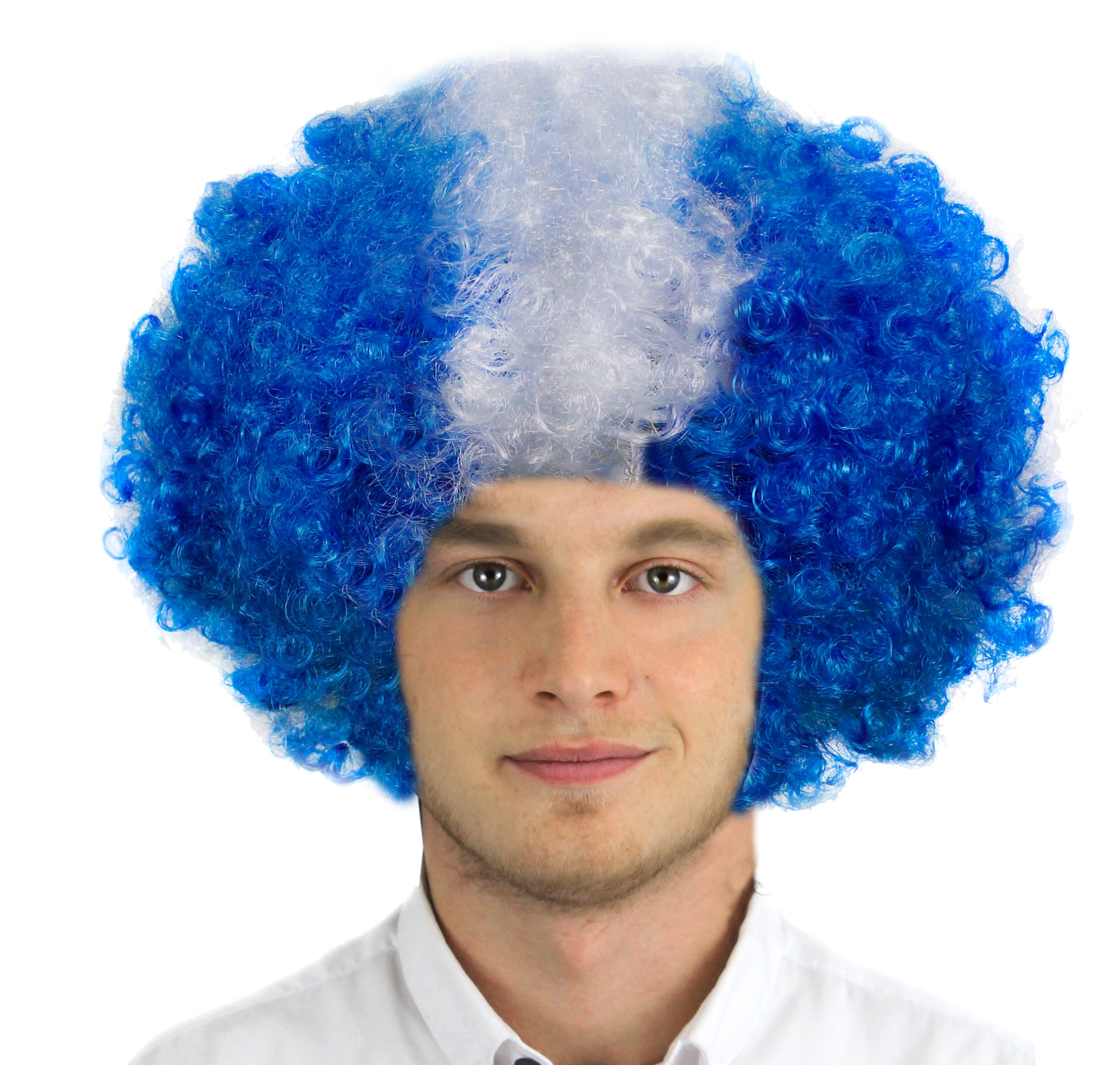 I Love Fancy Dress ILFD2263 St Andrew's Cross Unisex Afro Supporters Wig (One Size)