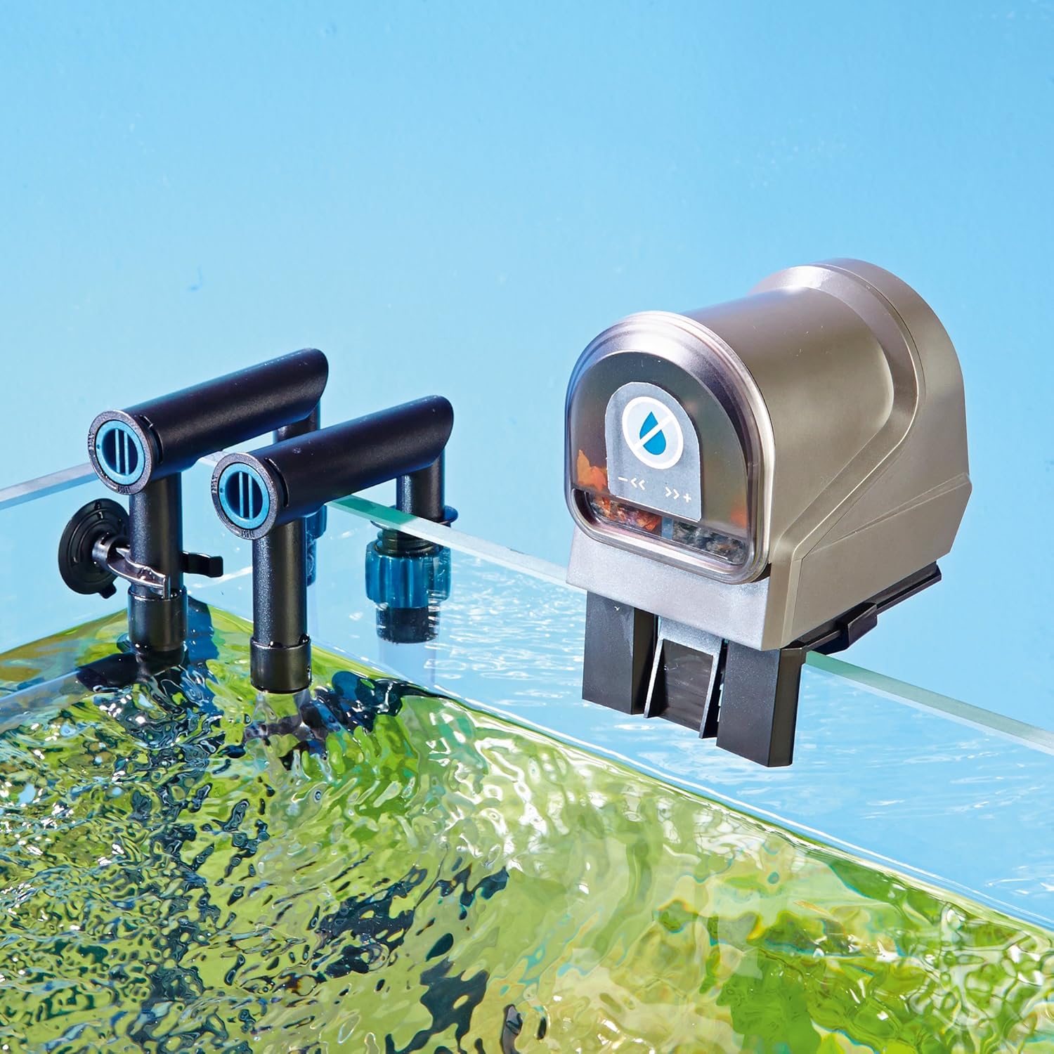 Amazon.com : OASE Indoor Aquatics Fishguard : Pet Supplies