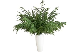 Tasruwat 10 Pcs 36 Inch Artificial Norfolk Pine Stems Faux Christmas Greenery Evergreen Pine Branches Realistic Fake Cedar Pine Picks Winter Greens for Vases DIY Garland Wreath Home Holiday Decor