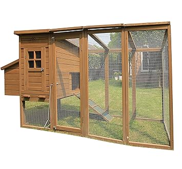 Pets Imperial Blenheim Poulailler Avec Cage De 25 M Et Toit En
