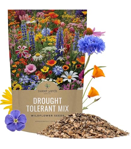 lavender seeds organic English Lavender Seeds, 1500 ct, Non-GMO, USA Grown