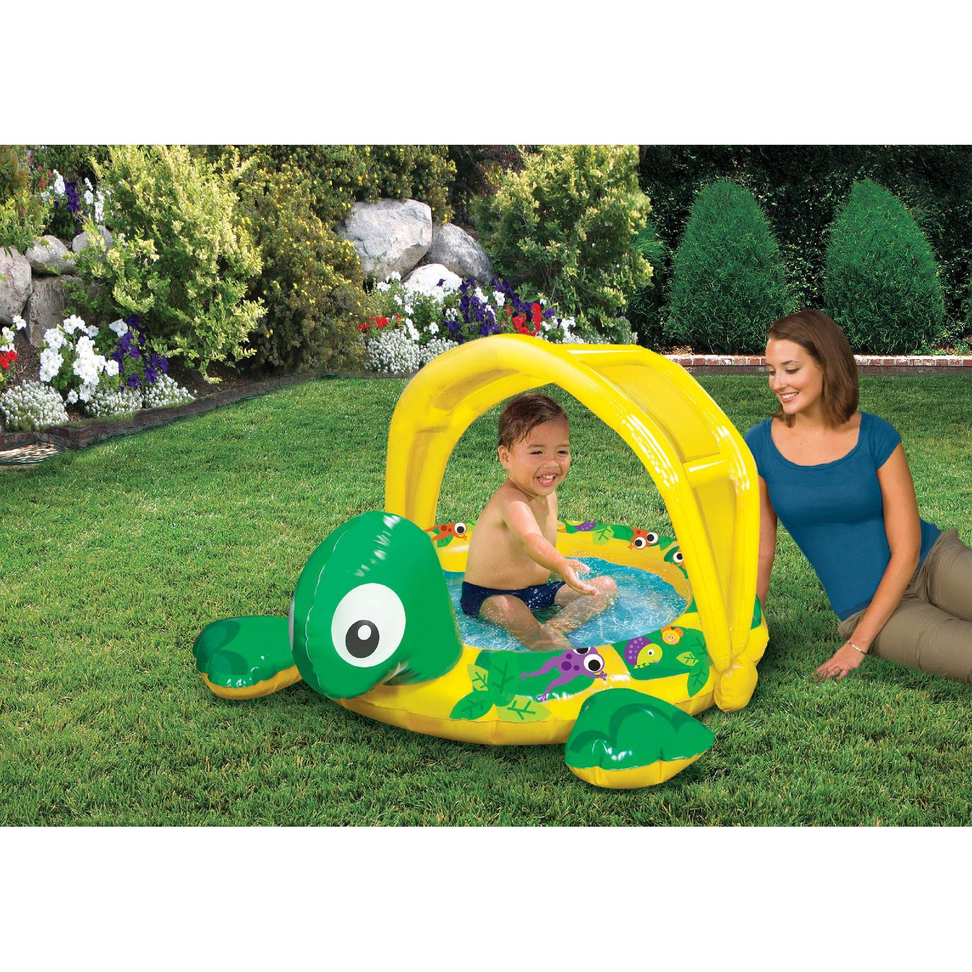 Shady Time Turtle Pool - Clear Water