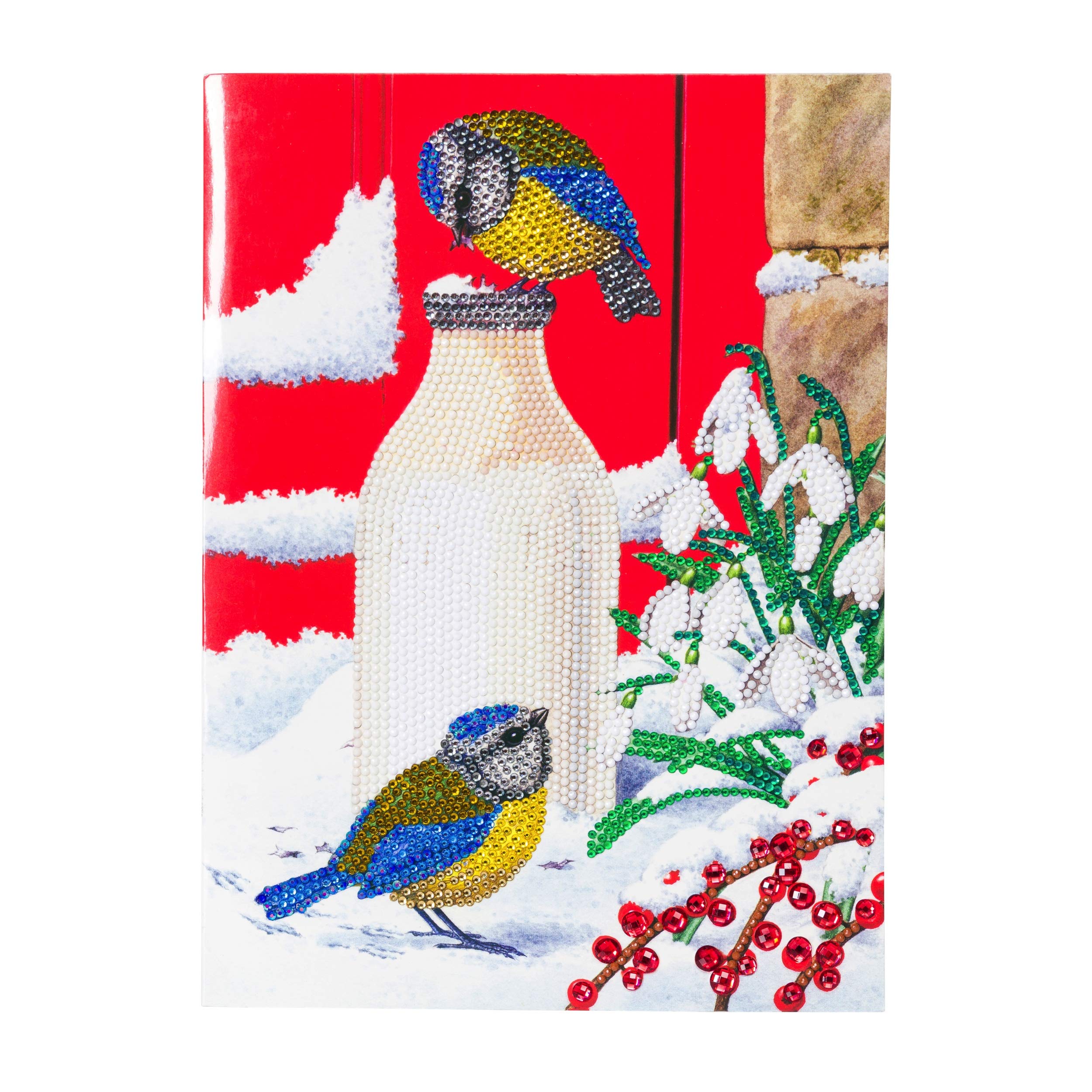 Birds Milkshake, 21x29cm Giant Crystal Art Card