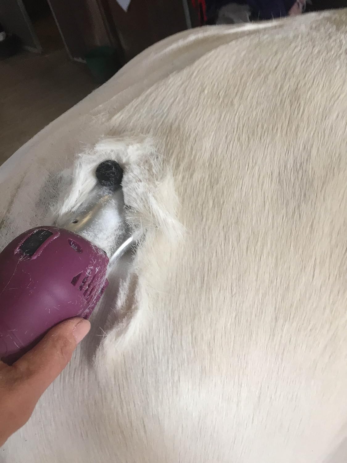masterclip roamer cordless horse clippers