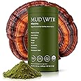 MUDWTR Mushroom Matcha Powder | 3,000mg of Adaptogenic Mushrooms | Japanese Matcha Powder Blend | USDA Organic | Energy, Focus & Immunity Support | Lion's Mane, Chaga, Reishi, Cordyceps | 30 Servings