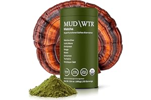 MUDWTR Mushroom Matcha Powder | 3,000mg of Adaptogenic Mushrooms | Japanese Matcha Powder Blend | USDA Organic | Energy, Focus & Immunity Support | Lion's Mane, Chaga, Reishi, Cordyceps | 30 Servings