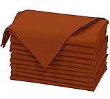 Ruvanti Linen Napkins Set of 12, 18x18 Cloth