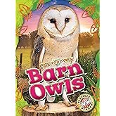 Barn Owls - Who's Hoo? Owls!, Non-Fiction Reading and Photos About Types of Owls for Grade 2 - Blastoff! Readers Collection