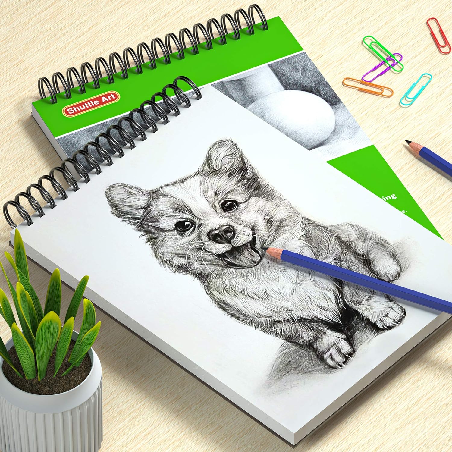 Artists Sketch Books, 9 x 12 Shuttle Art 160 Sheets of Sketch Paper pad Ideal for Drawing and School Supplies (2 Pack): Arts, Crafts & Sewing