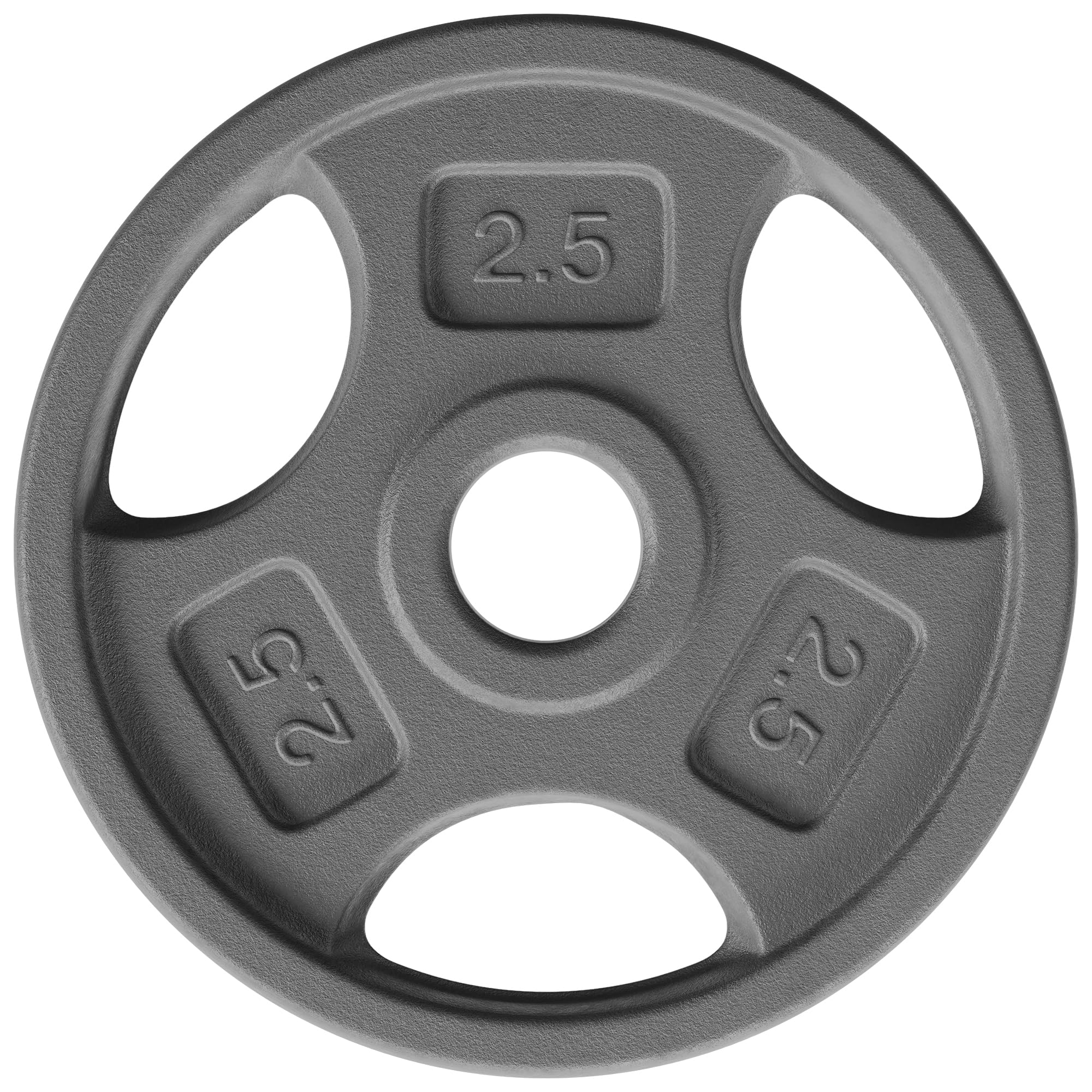 Photo 1 of Yes4All 1 Inch Grip Cast Iron Weight Plates for Dumbbells – Standard Weight Plates - 2.5lb - Single