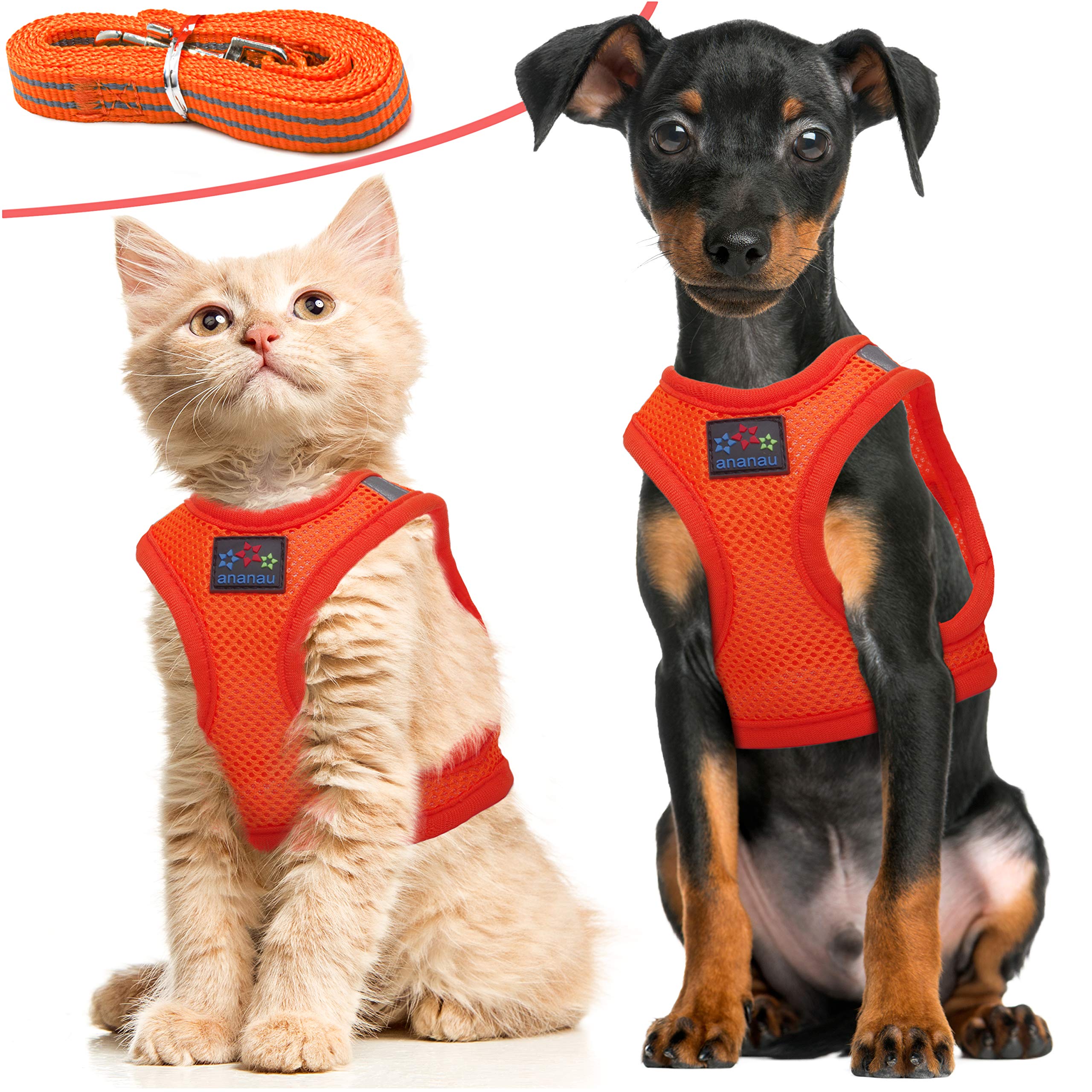 Cat Harness with Leash (L, Orange)