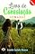 Livro Livro de Consolação: Romance