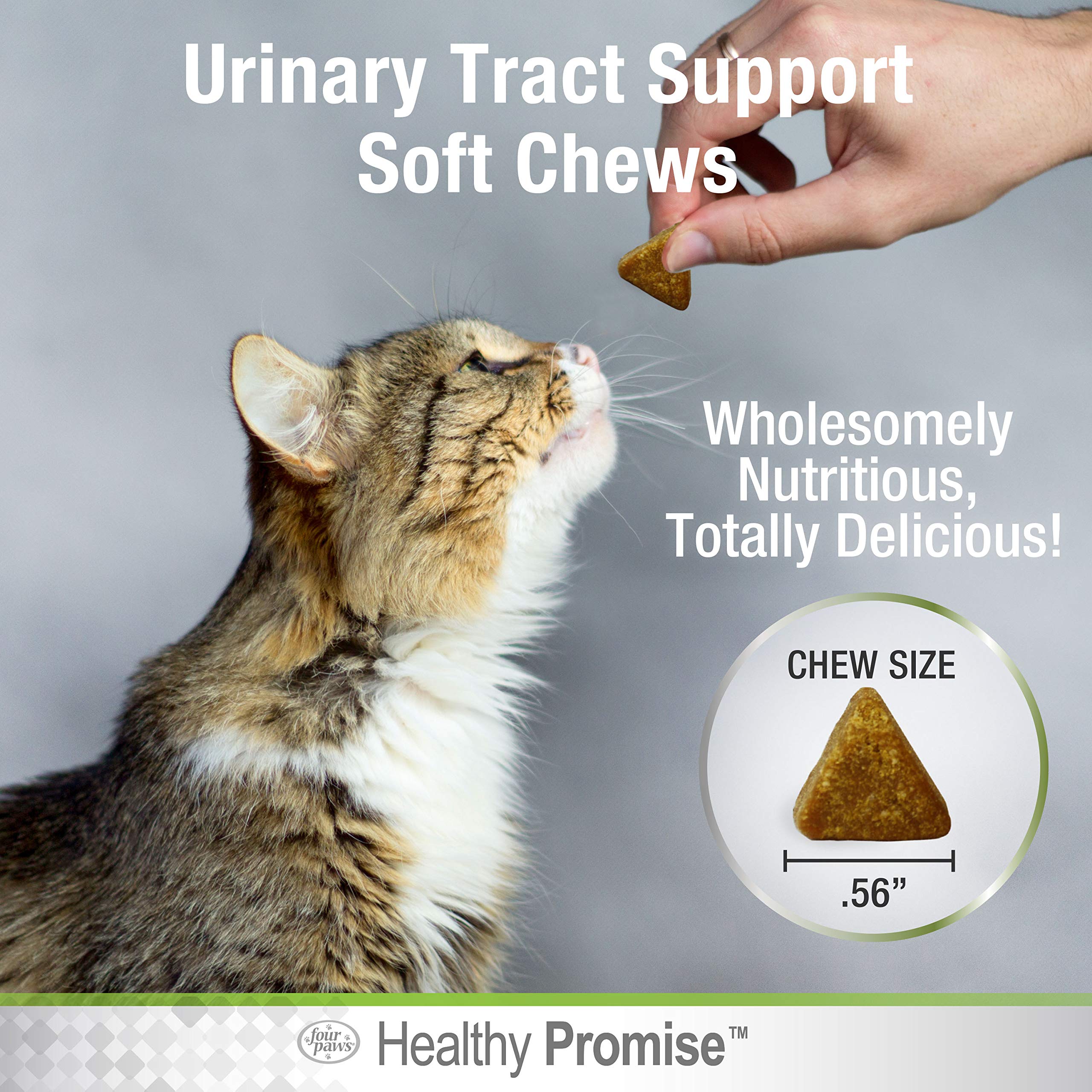 Curated visual reference: Visual Reference: Mua Four Paws Healthy Promise Cat Urinary Tract Supplement Soft