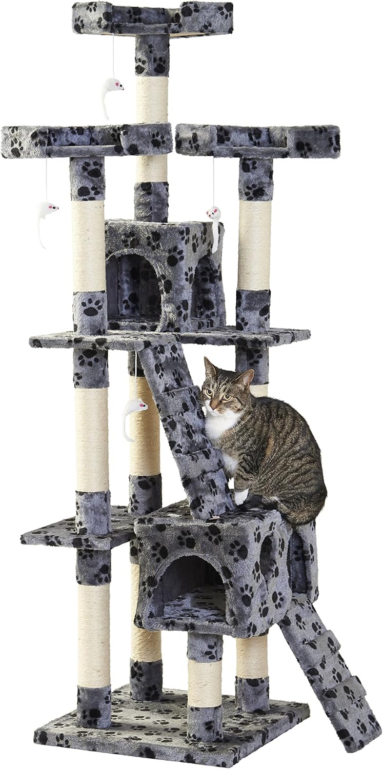 milo and misty cat scratcher