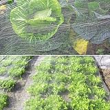 OAHAO Fine Mesh Insect Netting 0.8mm 3x4m Garden Netting for Plants Birds view 3