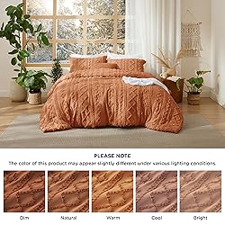 Bedsure Tufted Boho Comforter Set Twin Size