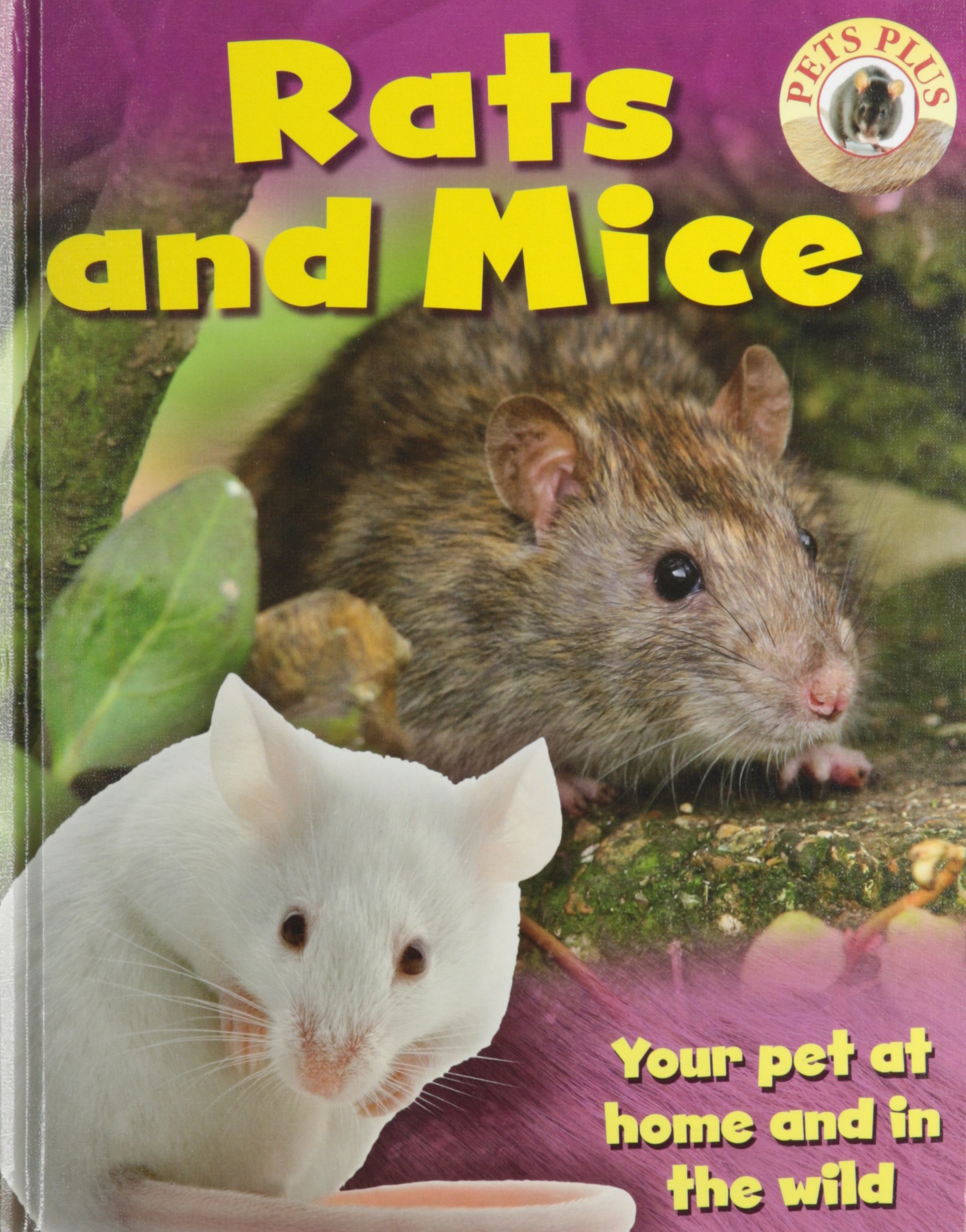 pets at home mice