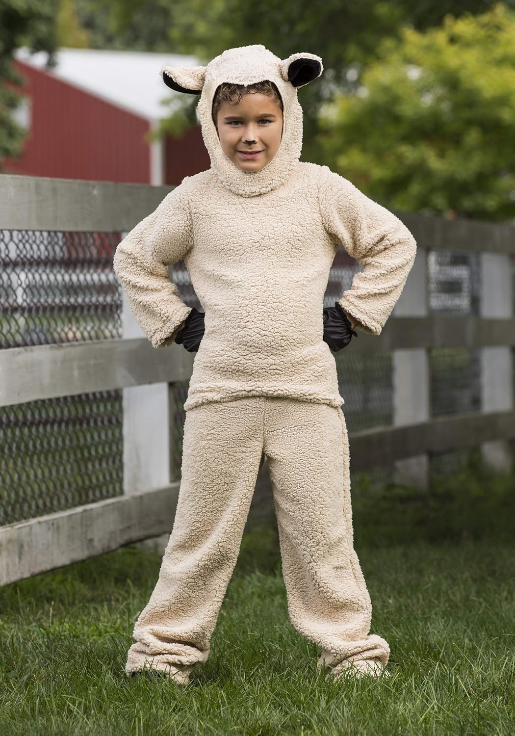 baby boy sheep costume